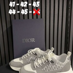 Dior B25 White - Grey