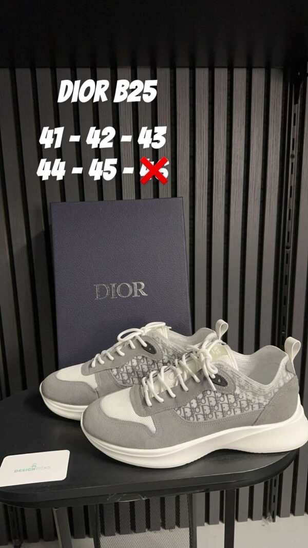 Dior B25 White - Grey